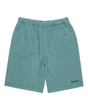 Element Cornell 3.0 Shorts