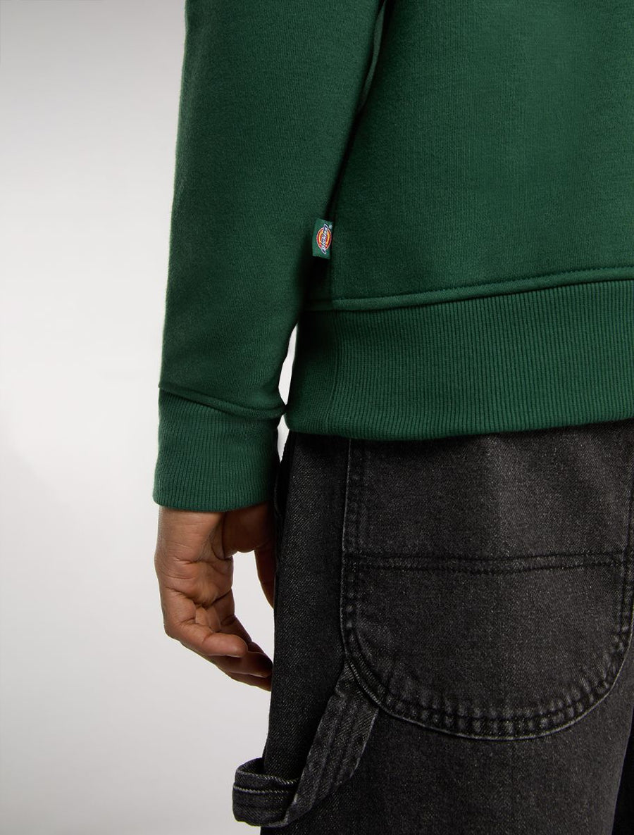 Dickies Oakport Quarter Zip