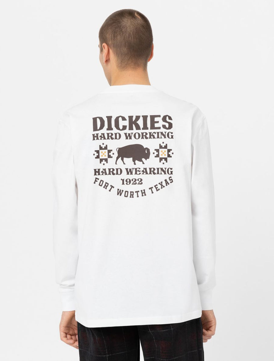 Dickies Hay Long Sleeve T-Shirt