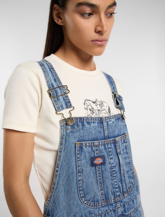 Dickies Long Bib Overalls Dress