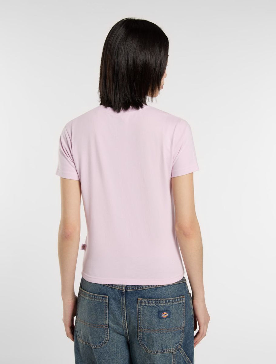 Dickies Maple Valley T-Shirt
