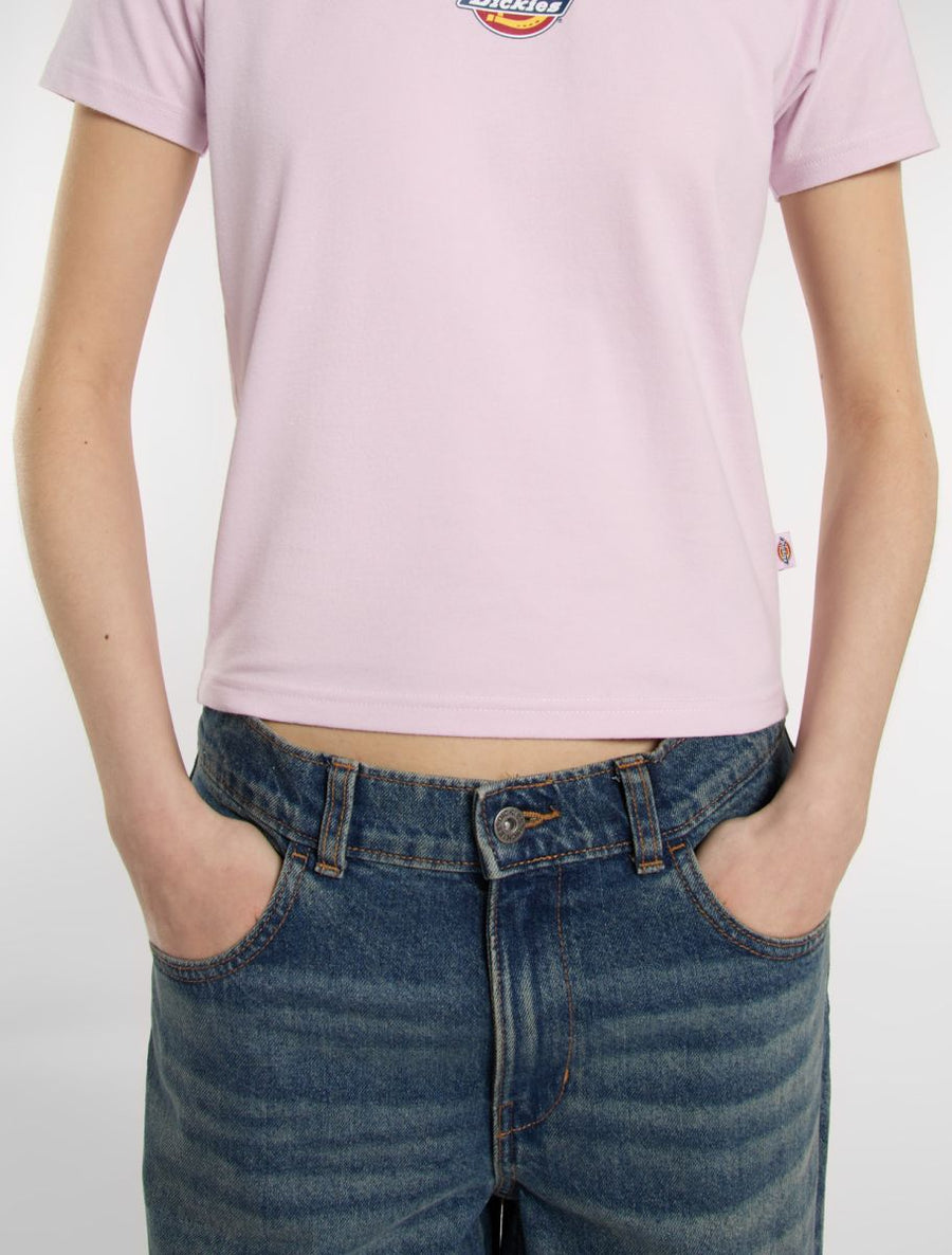Dickies Maple Valley T-Shirt
