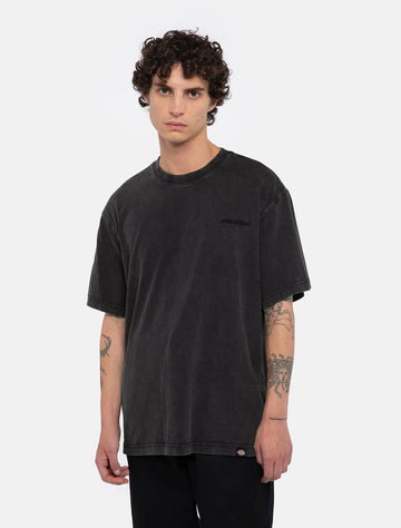 Dickies Plentywood T-Shirt