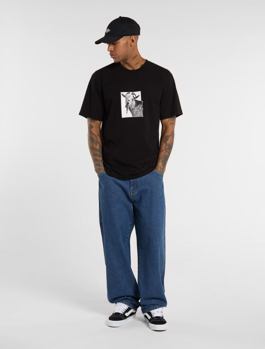 Dickies Mike Anderson Graphic T-Shirt