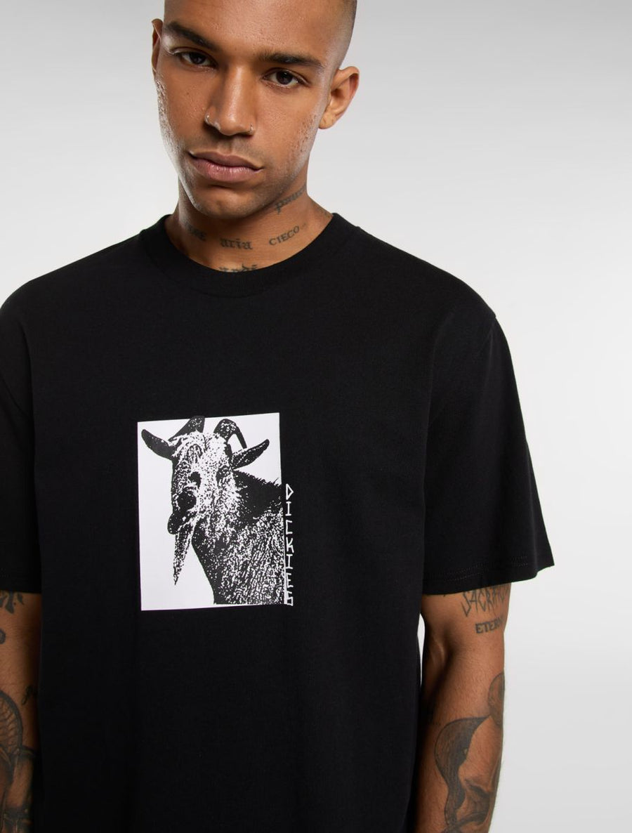 Dickies Mike Anderson Graphic T-Shirt