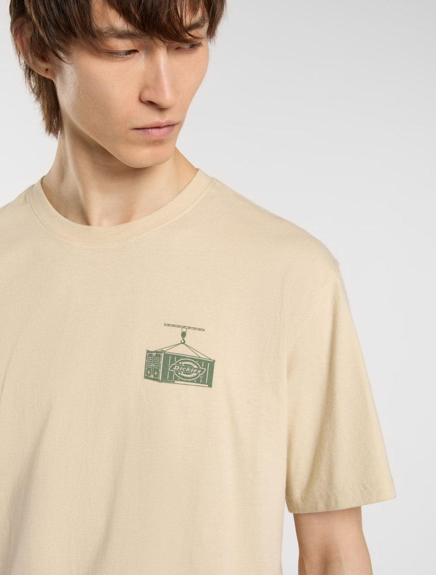 Dickies Apison Tee