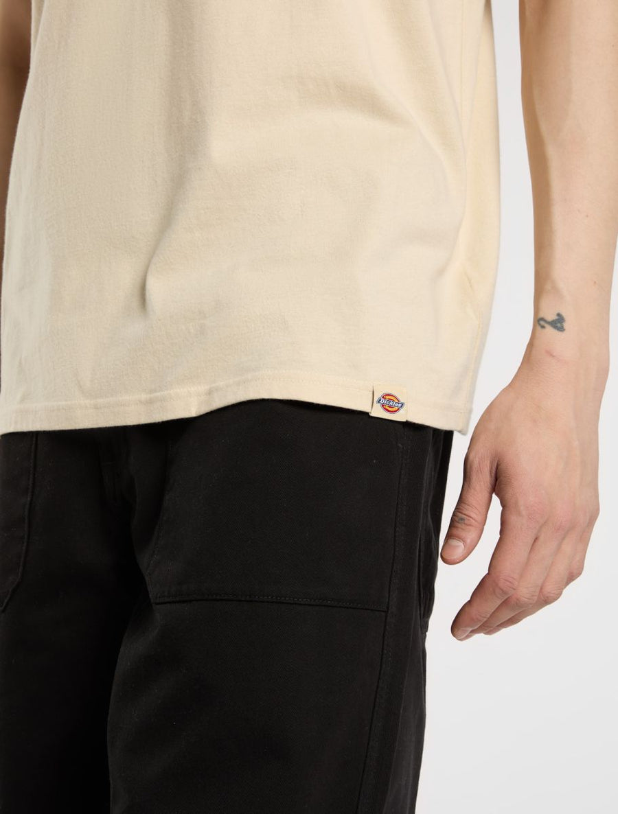 Dickies Apison Tee