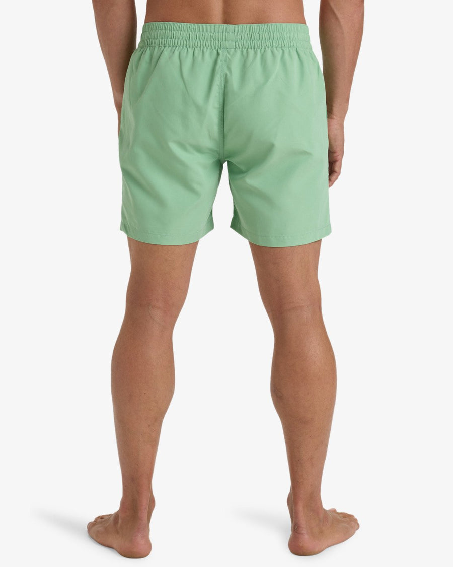 Billabong All Day 16