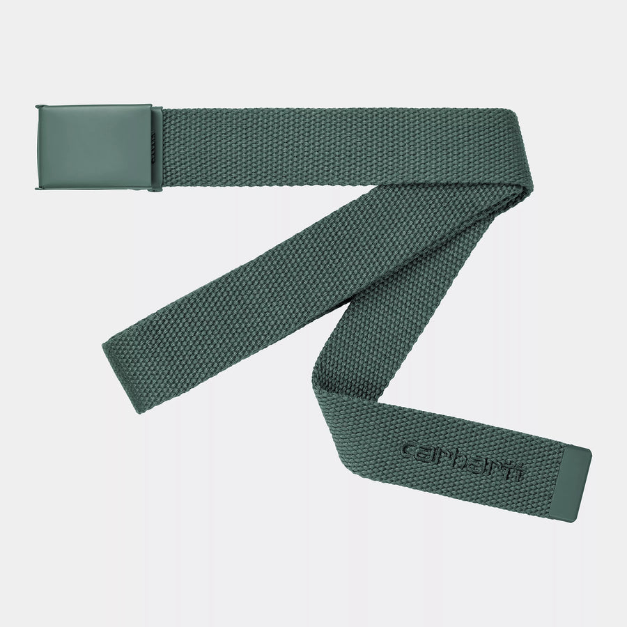 Carhartt WIP Script Belt Tonal in Green